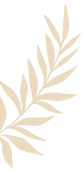 vector
